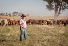 Groot Phesantekraal’s Andre Brink named Western Caper farmer of the year ,advances to compete for national title