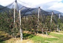 Arrigoni comes to Eima with the most innovative crop protection solutions