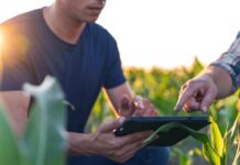 McKinsey’s 2024 Global Farmers Survey: New yield increasing products, agtech, and sustainable practices lay the foundation to increase profitability, combat industry price volatility