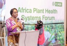 Inaugural Africa Plant Health Systems Forum highlights strength of partnerships for greater sustainable food security