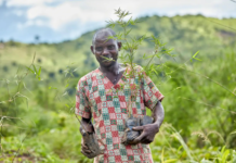 Ugandan farmers set to benefit from China-Uganda bamboo project