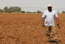 Department empowers Ngaka Modiri Molema farmer with essential equipment to elevate potato production