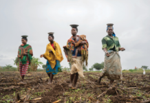 Australian Government to Invest $76.4M to Boost Climate Resilience and Food Security in Africa