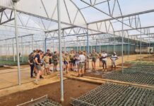 Saai and Landworks launch 100 new job opportunities in Ireland for agricultural students