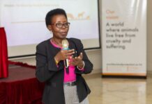 Conservationists Raise Red Flags over the Impact of Commercial Parrot Breeding for Wild Populations