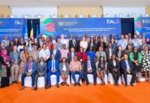 FAO East Africa Regional Meeting in Uganda Unites Experts to Tackle Food Security Challenges Across the Region