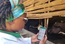 International Livestock Research Institute and Center for Tropical Livestock Genetics and Health Launch an advanced App for Livestock Health and Feed Management