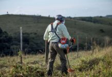 ‘Tis the Season to be Trimming: Expert Tips for Brushcutter Success