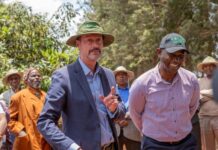 Kakuzi PLC Dominates the 2024 Avocado Excellence Awards by Clinching Five Nominations