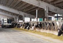 Faresin Industries introduces the FS6.26 telehandler