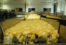 PepsiCo South Africa Expands Potato Chips Production Plant with R746 Million Investment Creating More Jobs