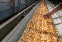 TWK’s Performance affected by external circumtnces