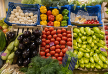 COP29: FAO calls for investment in agrifood systems to tackle the climate crisis