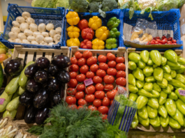 New report outlines food tech pathways for climate resilience and sustainability