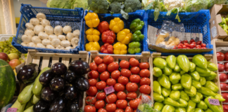 New report outlines food tech pathways for climate resilience and sustainability