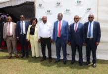 Kenya launches five-year Strategic Plan for coffee sector, aims at boosting production to 10kg per bush