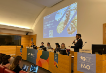 FAO launches digital tool to measure and track greenhouse gas emissions