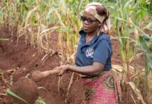 $151 billion needed annually to close critical global climate finance gap for smallholder farmers