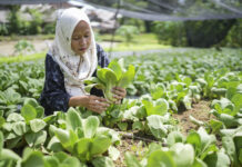 IFAD’s Impact Report 2023: Supporting 8 million rural people through sustainable bonds