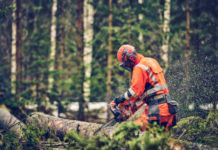 Chainsaw Safety: Cutting Through Danger