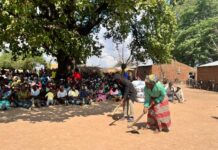 A Global Recognition of Impactful Work in Sustainable Development