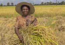 New $282 million program targets climate and environment action through agriculture and food systems