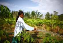 COP16: With investment, small-scale farmers can restore lands and deliver significant food security, climate, and economic benefits