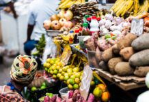 Building resilience in Africa’s agrifood supply chains