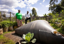 Novastar Ventures backs the growth of Sistema.bio in Africa