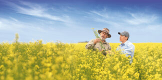 Bayer launches newgold® seed to support low-carbon biofuels and farm profitability