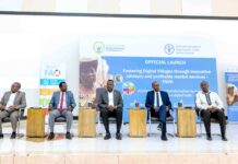 Rwandan rural farmers to benefit Fostering Digital Villages project aimed at transforming agricultural practices