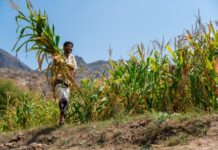 IFAD President calls on leaders at Davos to focus on reducing inequalities and driving growth and stability