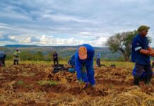 Highlights of the land reform programme in 2024 and the road ahead