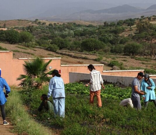 Morocco’s Interfaith Collaboration Boosts Sustainable Agriculture and Rural Development