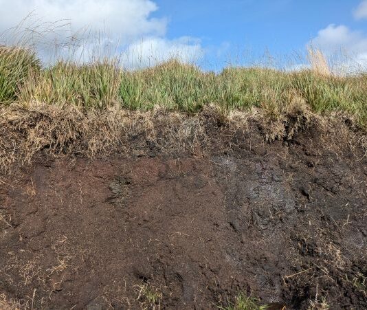 Future of UK peatlands under threat due to climate change