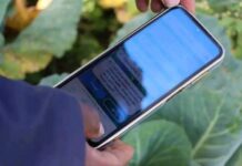 AI and IoT in Agriculture hold great potential in Unlocking Job Opportunities for Kenyan Young Graduates