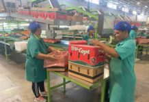 Two-a-Day is SA’s first agribusiness to enjoy Top Employer status