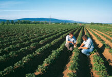 Bayer and Ecospray Reach Distribution Agreement for New Garlic-Sourced Biological Crop Protection Product