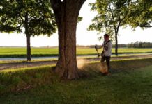 Battery vs Petrol: The Great Debate