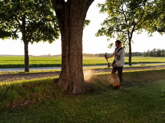 Battery vs Petrol: The Great Debate