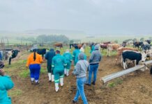 ‘Tough but rewarding’: South African para-vets embrace the opportunity to work for themselves