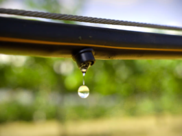 Drip irrigation: six checks before buying equipment