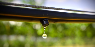 Drip irrigation: six checks before buying equipment