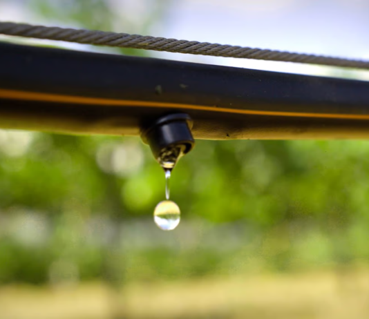 Why Drip Irrigation is the Key to Water Conservation in Arid Regions