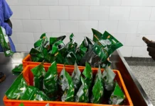 Masheda Mixed Farm eyes international markets with innovative value-added products, set to revolutionise Uganda’s aquaculture sector