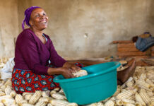 Public Development Banks have the financial firepower for transforming global food systems, says IFAD President