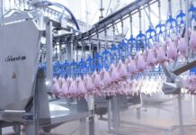 Visual performance monitoring with PUPIL artificial intelligence