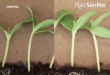 Futureco Bioscience is transforming agriculture through research and innovation