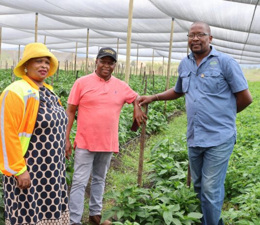 MEC Sambatha hands over greehouse tunnels worth R2,5M to promote Food security and support local agriculture enterprises in Madibeng