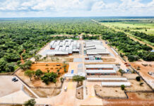 Bayer Opens Maize Seed Facility in Zambia to Support Food Security for about 30 Million People